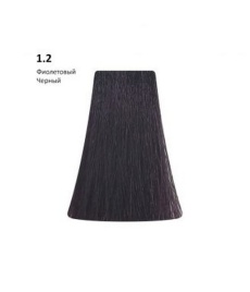 PICASSO Кр-кр д/вол.100мл 1.2 Фиолетовый черный