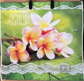 Пакет с пласт.ручк.малый 34*36 ЭШЛИ (10)