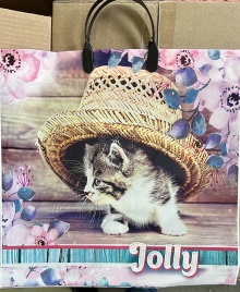 Пакет с пласт.ручк.малый 34*36 ДЖОЛИ  (10)