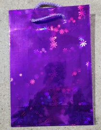 Сумка бумажн.ламин.20х14 ГОЛОГРАФИКА