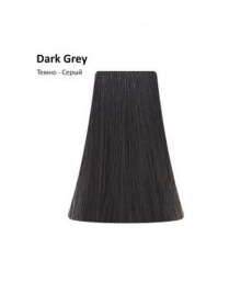 PICASSO Корректор 100мл. Темно-серый Dark Grey