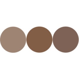 FL 2344 №1 Тени д/бровей кофе+шоколад