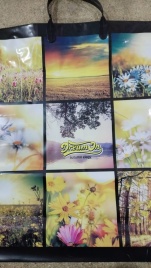 Пакет с пласт.ручк.больш.40*40 ДРИМ (10)