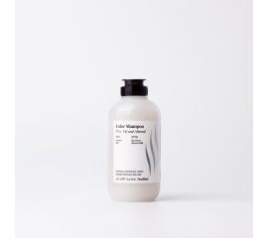 FARMAVITA BACK BAR №01 Ш-нь 250мл Защита цвета/Блеск