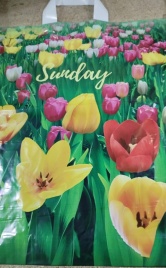 Пакет-петля 40х42"ПОЛЕ ТЮЛЬПАНОВ" (25)