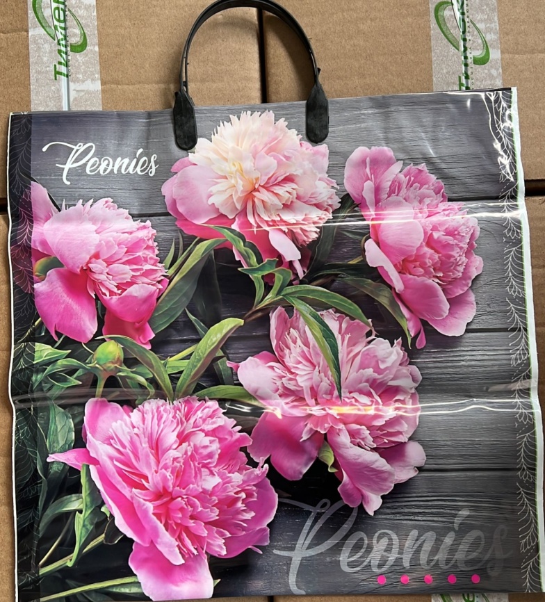 Пакет с вруб.ручк.20х30 "Пионы" (100) фото 1