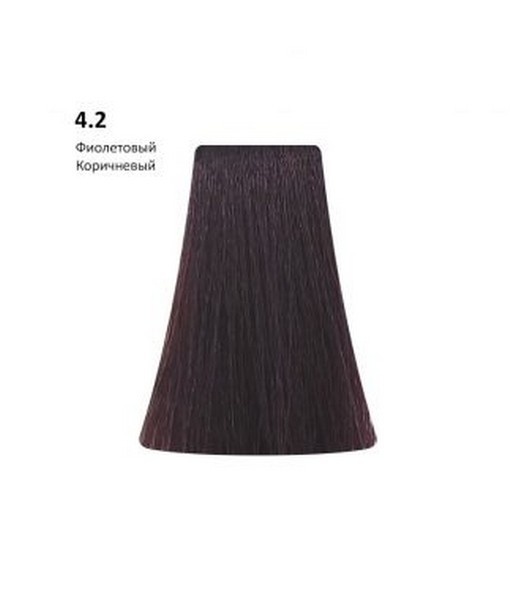 PICASSO Кр-кр д/вол.100мл 4.2 Фиолетовый коричн. фото 1