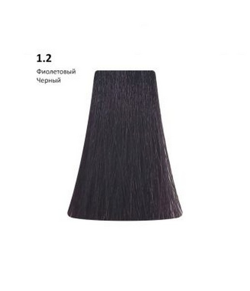 PICASSO Кр-кр д/вол.100мл 1.2 Фиолетовый черный фото 1
