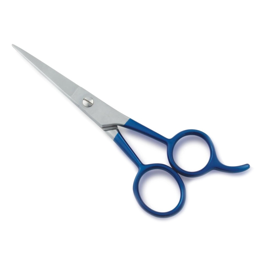 ELLIS/033 RN Ножницы бытовые с усилит.10 см фото 1