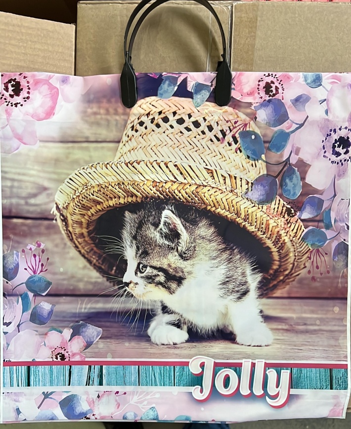 Пакет с пласт.ручк.малый 34*36 ДЖОЛИ  (10) фото 1