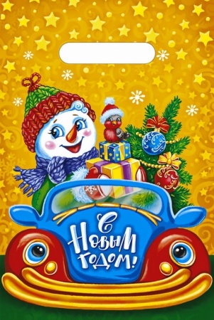 Пакет с вруб.ручк.20х30 За рулем снеговики (100) фото 1