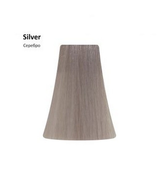 PICASSO Корректор 100мл. Серебро Silver фото 1