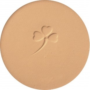 FL Пудра SH-45 B с зерк.*Беж фото 1